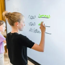 i3CONNECT Elm 2 86 Inch touchscreen